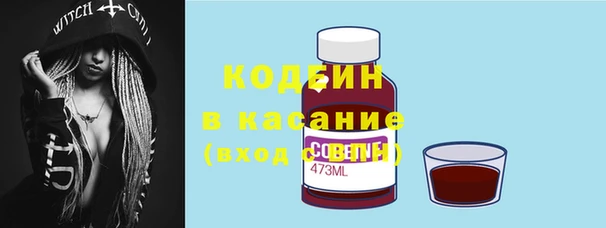 ПСИЛОЦИБИНОВЫЕ ГРИБЫ Абаза