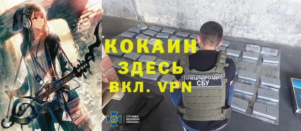 ПСИЛОЦИБИНОВЫЕ ГРИБЫ Абаза