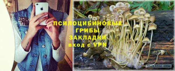 ПСИЛОЦИБИНОВЫЕ ГРИБЫ Абаза