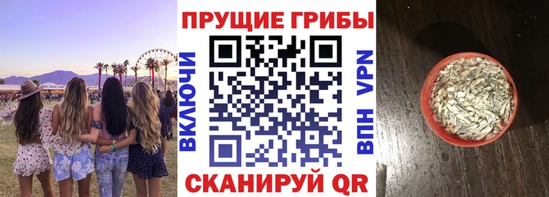 Псилоцибиновые грибы ЛСД дарнет шоп shop официальный сайт Задонск